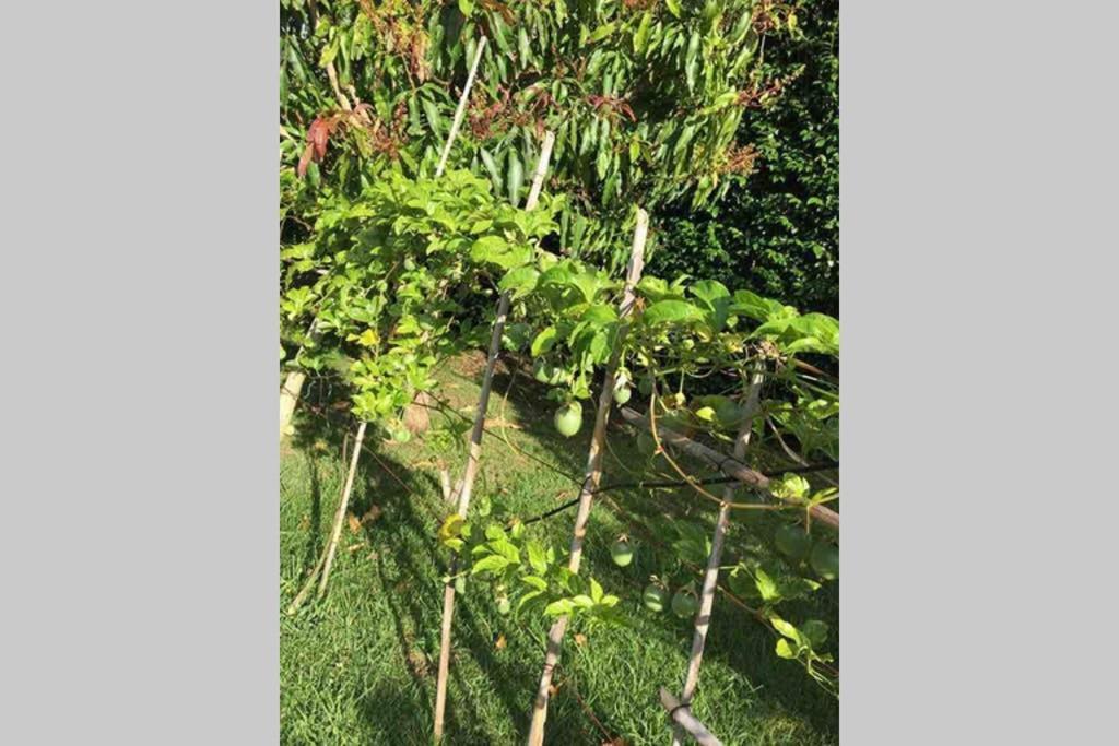 Summer House With Bbq And Garden ออร์ตา ภายนอก รูปภาพ