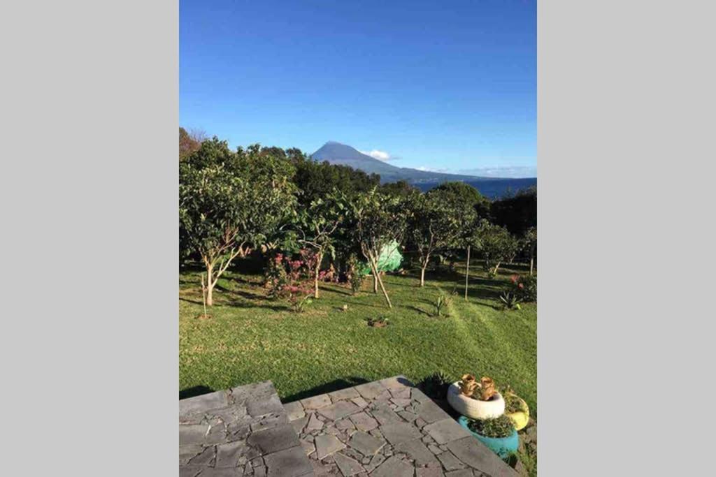 Summer House With Bbq And Garden ออร์ตา ภายนอก รูปภาพ